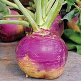 Heirloom Organic American Purple Top Rutabaga on a wooden surface
