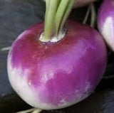 Heirloom Organic American Purple Top Rutabaga on a dark surface
