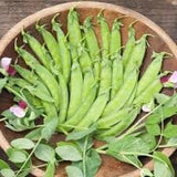 Heirloom Organic Dwarf Gray Sugar Garden Peas in a wooden bowl with leaves on a wooden surface