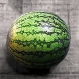 Organic Heirloom Crimson Sweet Watermelon on a textured gray surface