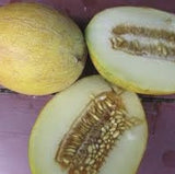 Two halves of a Rare Heirloom Organic Sharlyn Melon Seeds (Aka Pineapple Melon, Ananas Melon, Ananas D'Amerique a Chair Verte) on a pink surface