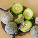 RARE Heirloom Organic Rocky Ford Green Flesh Melon Seeds (Aka Eden Gem Melon) on a wooden plate with a fork