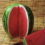 Organic Heirloom AU Producer Watermelon on a woven mat
