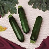 Organic Heirloom Dark Green Zucchini on a textured surface with green leaves and a flower in the background.