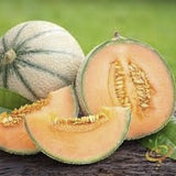 Heirloom Organic Hale's Best Jumbo Cantaloupes, on a wooden surface with green leaves in the background.