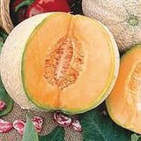Halved Heirloom Organic Edisto Cantaloupe with a whole cantaloupe and leaves in the background