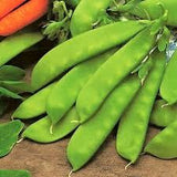 Organic Oregon Sugar Pod Peas in pods on a wooden surface with a carrot in the background