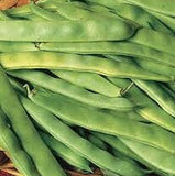 Heirloom Italian Garden Bush Beanon a wooden surface