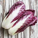 Pair of purple and white radicchio lettuce leaves on a wooden surface