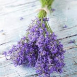 Bouquet of Heirloom Organic English Lavender on a wooden surface