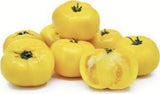Organic Heirloom Yellow Perfection Tomato on a white background
