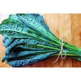 Bunch of  Toscano Kale / Tuscan Kale / Italian Kale / Dinosaur Kale / Cavolo Nero / Black Leaf ) tied with twine on a wooden surface