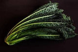 Heirloom Organic Black Magic Lacinato Kale on a black background