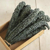 Heirloom Organic Black Magic Lacinato Kale in a wooden box on a light wooden floor