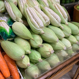 Display of RARE Heirloom Organic Incan Cuzco Maize Seeds !!!WORLD'S LARGEST!! Giant White Peruvian Sweet Corn Seeds and ears at a market