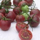 Heirloom Organic Chocolate Cherry Tomato on a white background