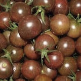 Close-up of Heirloom Organic Chocolate Cherry Tomato with green stems