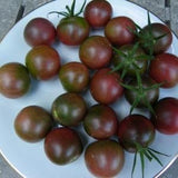 Heirloom Organic Chocolate Cherry Tomato on a white plate