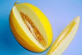 RARE Heirloom Organic Canary Melon Seedson a blue background