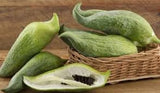 Rare Organic Heirloom Caigua in a woven basket on a wooden surface