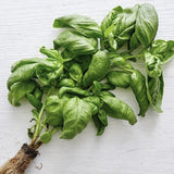 Bunch of Organic Heirloom Genovese Basil on a light wooden surface