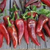 Organic Pueblo Hot Pepperon a wooden surface