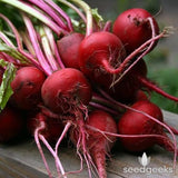 Bunch of Organic Heirloom Tall Top Early Wonder Beets on a wooden surface with 'seedgeeks' logo.
