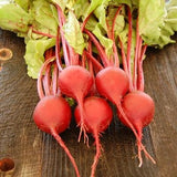 Organic Heirloom Tall Top Early Wonder Beet with green leaves on a wooden surface