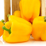 Organic Heirloom SunBright Sweet Pepper on a white background with a wooden box.
