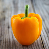 Organic Heirloom SunBright Sweet Pepper on a wooden surface