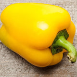 Organic Heirloom SunBright Sweet Pepper on a wooden surface