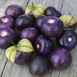 Organic Heirloom Purple Tomatillo Rare with green and yellow stems on a wooden surface
