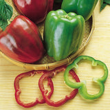 Organic Heirloom Calwonder Bell Pepper on a wooden surface with slices of peppers.