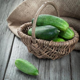 Wicker basket with Organic Heirloom Poinsett 76 Cucumbers on a wooden surface