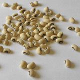 RARE ENDANGERED Cynthia Bean (COWPEA) Seeds Extremely Rare Endangered Plant Species scattered on a light gray surface