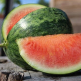 Heirloom Organic Wilson's Sweet Watermelon with a slice cut out, showing its red flesh and green rind.