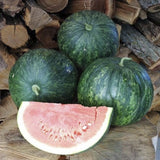 Three whole Heirloom Organic Wilson's Sweet Watermelons and one sliced watermelon on a wooden log with stacked firewood in the background.
