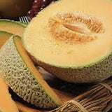 Heirloom organic Delicious 51 Cantaloupe on a wooden cutting board with a bowl of grapes in the background.