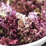 Close-up of Heirloom Organic 8 Lettuce Salad Bowl  in a bowl