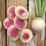 Asian Heirloom Organic Watermelon Radishes with pink centers on a wooden background