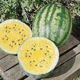 Two RARE Heirloom Organic Yellow Petite Watermelons, one whole and one sliced open, on a wooden surface with greenery in the background.