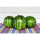 Three RARE Heirloom Organic Yellow Petite Watermelons on a colorful checkered tablecloth with a white wooden background