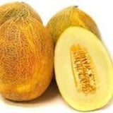 Rare Heirloom Organic Sharlyn Melon (Aka Pineapple Melon, Ananas Melon, Ananas D'Amerique a Chair Verte), one whole and one sliced, on a white background
