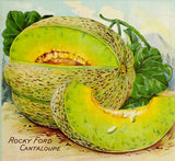 Illustration of a Rocky Ford Cantaloupe with a sliced piece on a decorative background