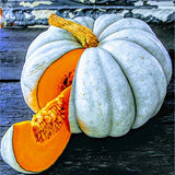 RARE Organic Heirloom Jarrahdale Pumpkin with orange flesh on a dark surface