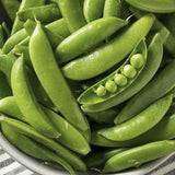 Heirloom Organic Sugar Daddy Stringless Peas in a bowl on a striped surface