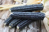 RARE  (NATIVE AMERICAN) Heirloom Organic Black Aztec Corn Seeds (Black Mexican Corn) Seeds on a wooden surface