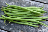 Organic Heirloom Top Crop Bush Beanon a wooden surface