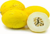 Yellow melons with one cut open to reveal its interior on a white background