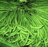 Stack of Heirloom Organic Dwarf Gray Sugar Garden Peas with a close-up view